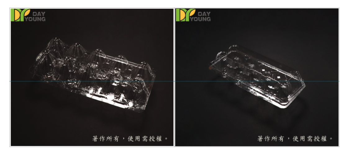 NEW! [New Arrival] PET Flat-Lid / Sealing Egg Carton – 10 Eggs